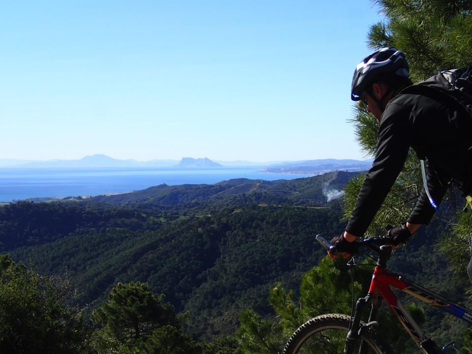 Un ciclista de montaña del club baja entre pinos con vistas al mar y al Estrecho